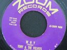 Sunday / Why Tony and The Velvets 45-zoom 9606 Zoom Records 45 RPM