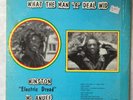 WINSTON Mc ANUFF eletric dread What The Man 