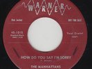 Doo-Wop 45 - Manhattans - How Do You Say I'm Sorry - Warner - mp3