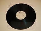 RARE Dropkick Murphys The Gang's All Here LP 12