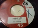 listen THE SURVIVAL KILLER  FUZZ  PSYCH  MEXICAN PROMO 45  CANABIS LADY