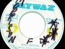  FUNK - ZAP - POW - Soul Revival - JAMAICAN FUNK - JAYWAX 45rpm Breaks