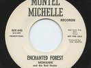 Hear - Rare Rock & Roll Novelty 45- Mohawk & the Red Necks- Enchanted Forest- M-