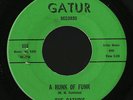 Soul Funk 45   Gaturs   A Hunk Of Funk   Gatur   mp3 rare
