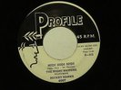 THE NIGHT RAIDERS Cottonpickin' PROFILE hear soundclip ROCKER ROCKABILLY