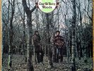 GAY & TERRY WOODS Backwoods rare UK Polydor folk-rock LP in beautiful condition