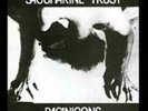 Saccharine Trust Vinyl  Pagan icons