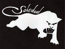 Soledad Brothers - Sugar & Spice 7