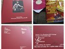 Iron Maiden Rock am Ring Vinyl Lp Limited  Germany