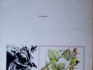 GORFFENNWYD - Welsh Language Rock Opera - Rare item