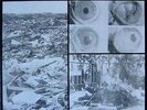 CORRUPTED / NOOTHGRUSH SPLIT LP sunn boris asunder dystopia DOOM PUNK GRIEF