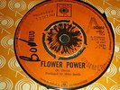 MUD  FLOWER POWER 7