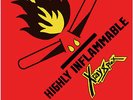 ? X-RAY SPEX - Highly Inflammable (withdrawn PS) // UK f-vox Punk 1979 / 5th 7