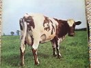 Pink Floyd 1970 Vinyl LP Atom Heart Mother  RARE 1st pressing A1/B1 NRMINT/VG