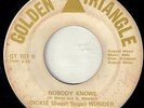 Dickie Wonder Nobody Knows Golden Triangle Northern Hear It