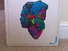 Love Forever Changes Mono UK Vinyl LP Rare. EKL 4013 A1 B1 matrix Arthur Lee