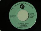 THE SUMMITS I'll Never Say No / Sleepwalking DC INTERNATIONAL M- Listen