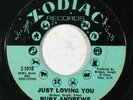 Northern Soul 45 RUBY ANDREWS Just Loving You/The Love I Need on Zodiac
