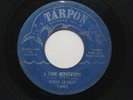 DENISE LA SALLE A Love Reputation Tarpon Northern Soul 45 Lasalle HEAR