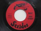 JUDY STREET What You Turn Me On Strider Northern Soul 45 HEAR