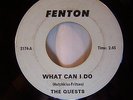 Quests What Can I Do / Shadows In The Night 1967 Fenton Michigan Garage Rock 45