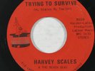 Funk 45 HARVEY SCALES Trying To Survive on Magic Touch VG++