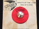 St. Louis Undocumented Private Heavy Metal 45  Catalyst  Wrath Of The Lamb  hear