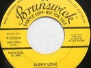 TERRY NOLAND 45 Puppy Love BRUNSWICK Teen ROCKABILLY Promo VG++ Original #CC433