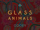 Glass Animals Gooey Vinyl LP New