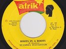 STAMMA HAUGHTON / ROOTS IN A ROOTS 
