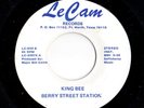 Mod New Breed R&B 45 BERRY STREET STATION King Bee/I Don't Care No More Le Cam