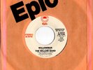 Modern Soul 45 WILLOW BAND Willowman HEAR Epic Rare