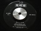 JESUS ACOSTA & THE PROFESSIONALS guajida CES rare LATIN SOUL / FUNK belize 45