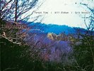 Will Oldham Bonnie Prince Billy Palace Brothers FOREST TIME Rare 10