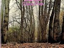 TWINK: Think Pink NEW LP PINK VINYL 180 grm/ Gatefold w/cd Full Colour Booklet