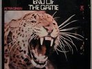 PETER GREEN THE END OF THE GAME **FACTORY SEALED** 1970 REPRISE 6436 FUSION LP