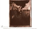 Pixies - Surfer Rosa+++ Vinyl 180g ++MFSL 1-296+++NEU+++OVP