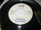 THE ENCHANTERS Oh Rosemarie 7