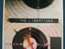 The libertines what a waster 7