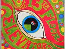 THE 13th FLOOR ELEVATORS - S/T - RARE 70's ??? ISSUE LP IA-LP-1