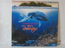 The Beach Boys Summer In Paradise LP