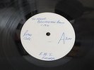 Edgar Broughton Band - Edgar Broughton Band LP - White Label Promo/Demo Copy