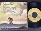 CHRIS DE BURGH SINGLE MADE IN PORTUGAL 45 PS 7 * LONELY SKY *