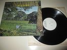 DAYLIGHT - SAME - RCA UK 1971  TEST PRESSING