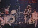 The Ramones - It's Alive ++Vinyl 180g 2 LPs   Music On Vinyl++NEU++OVP