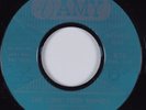 Teen 45 JERRY LANDIS The Lone Teen Ranger AMY HEAR dj copy