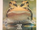 Froggie Beaver FROM THE POND LP OG rare rock EX/VG+