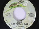 Hear Rock Rare 45 Queen - Keep Yourself Alive / Son And Daughter On Elektra