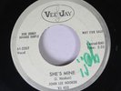 Hear Rockabilly Promo 45 John Lee Hooker - She'S Mine / A New Leaf On Vee & Jay