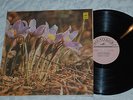 SOVIET JAZZ Funk * MELODIYA ENSEMBLE Labyrinth - Garanian & Frumkin  RUSSIAN  LP